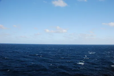 DSC_70020 (Large).JPG